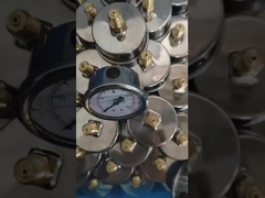 2Manômetro de pressão de tipo flange com painel cheio de glicerina