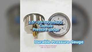 2,5" 60mm -20~100cmH2O Caixa inoxidável + conexão de latão