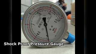 100mm 4" TODOS SS 0-2,5MPa