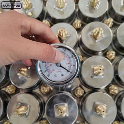 Manômetro de vácuo em aço inoxidável com mostrador de 60 mm e montagem traseira para aplicações industriais