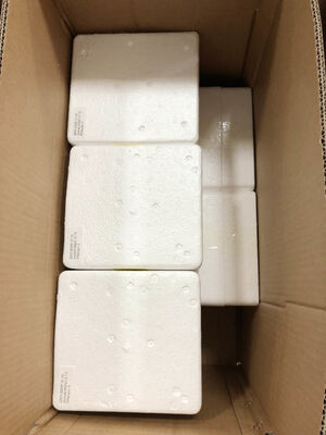 Manômetro Remoto de 6" 0-1.6MPa – Precisão de 1.6% | Leituras em Tempo Real